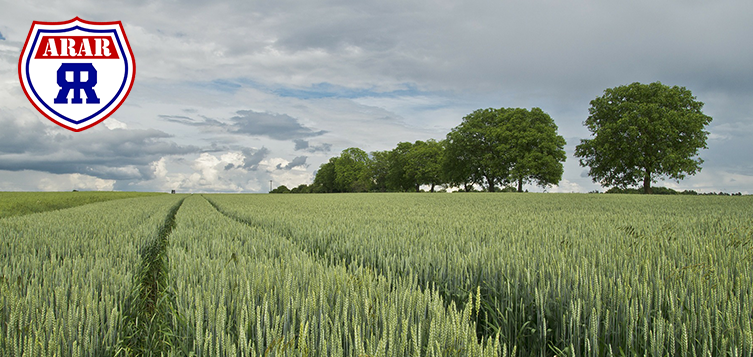 image02