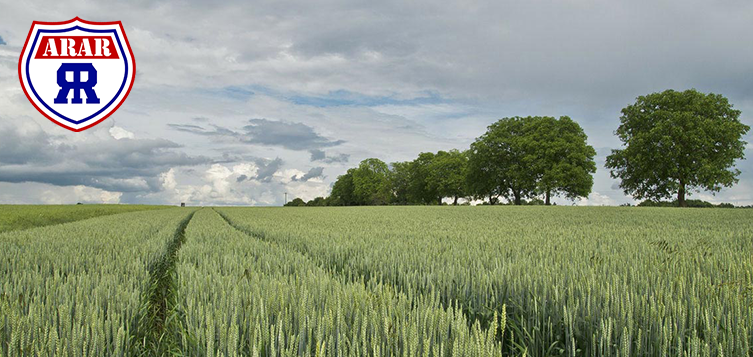 image04